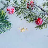 Lesen Palm And Sky Bewertungen